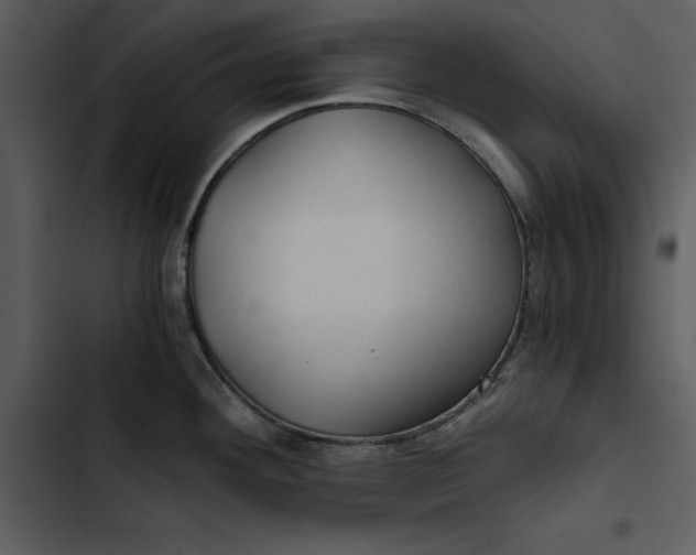 X0000102821292200809081122