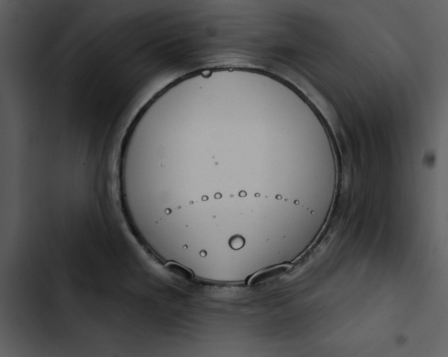 X0000102821293200809081122