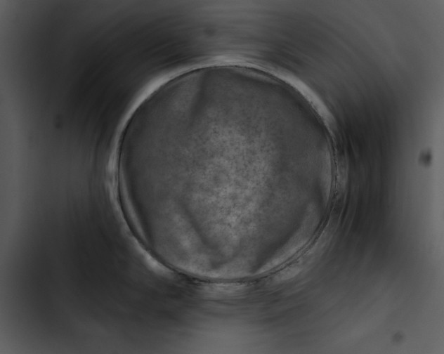 X0000102821294200809081122