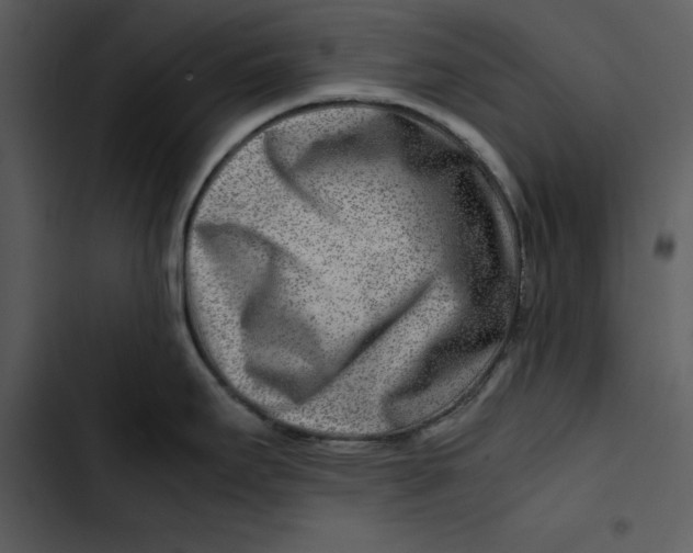 X0000102821295200809081122