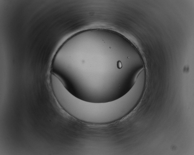 X0000102821296200809081122