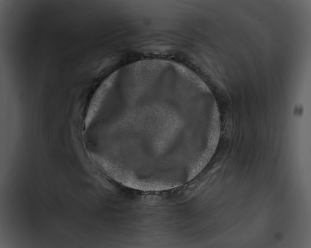 X0000102821297200809081122