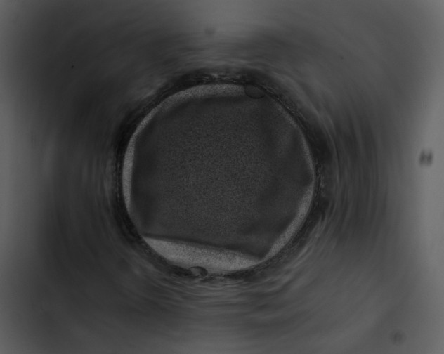 X0000102821298200809081122