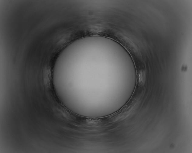 X0000102821299200809081122