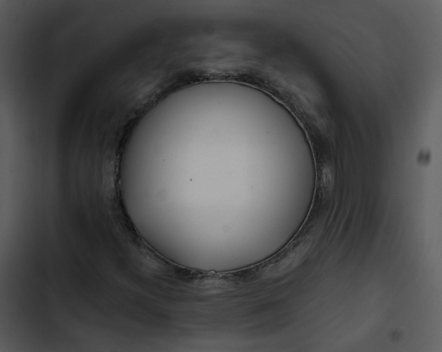 X0000102821300200809081122