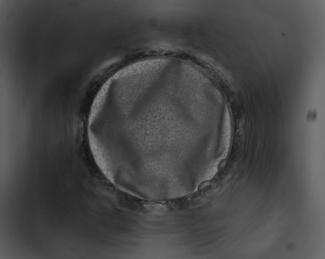 X0000102821302200809081122