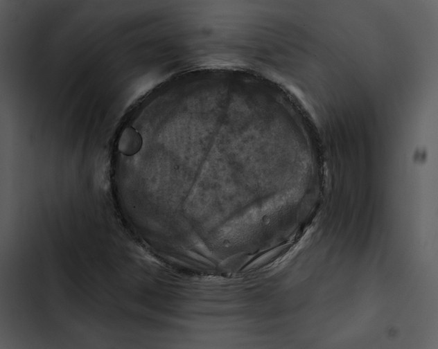 X0000102821306200809081122