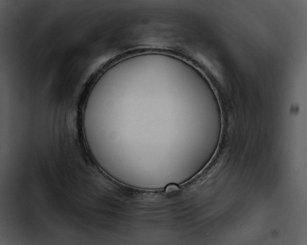 X0000102821307200809081122