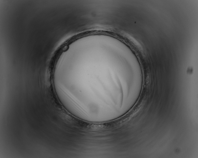 X0000102821310200809081122