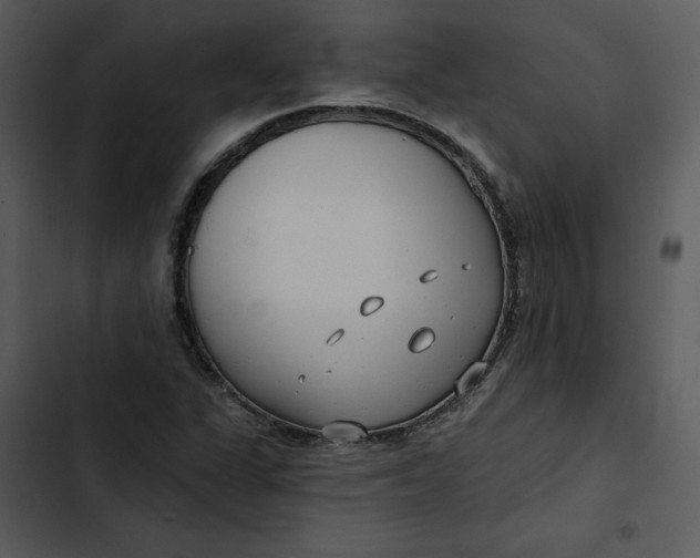 X0000102821311200809081122