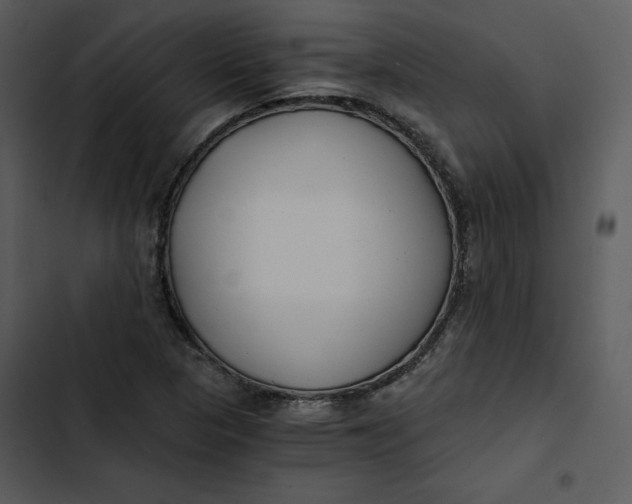 X0000102821313200809081122