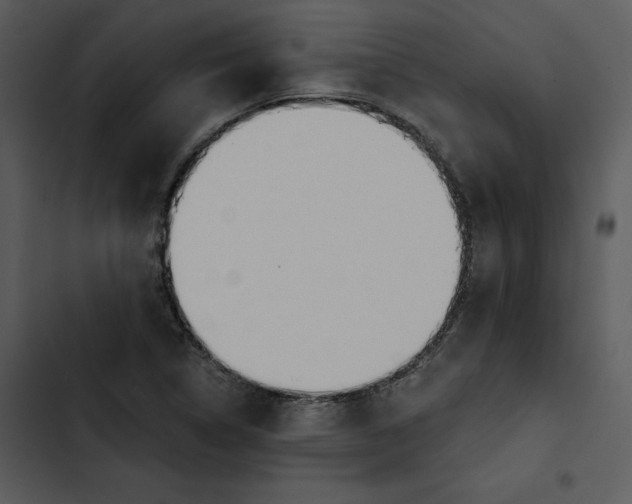 X0000102821314200809081122