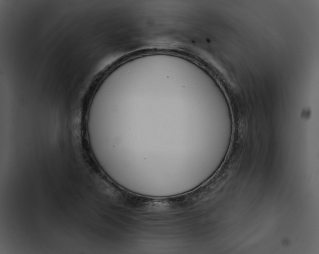 X0000102821315200809081122