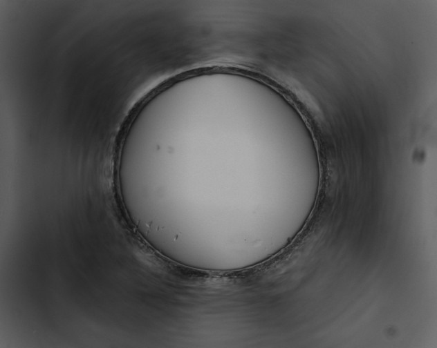 X0000102821316200809081122