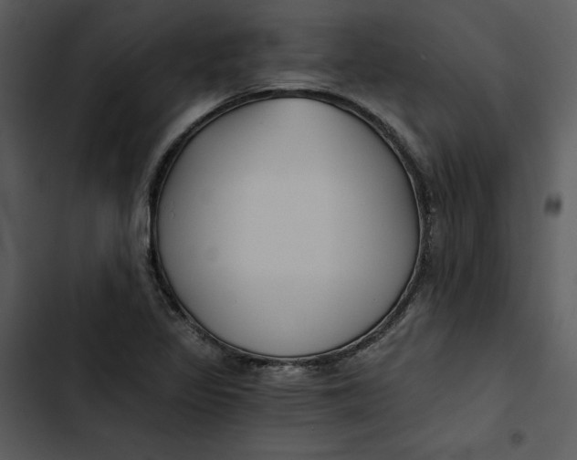 X0000102821317200809081122