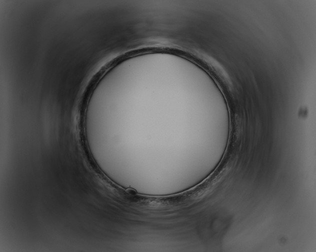 X0000102821318200809081122