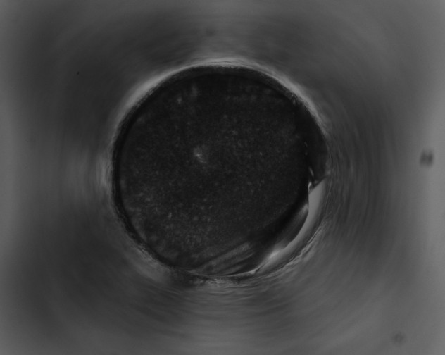 X0000102821319200809081122