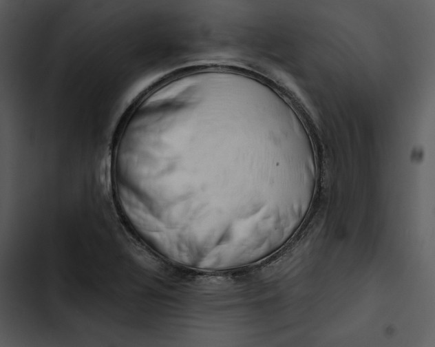 X0000102821320200809081122