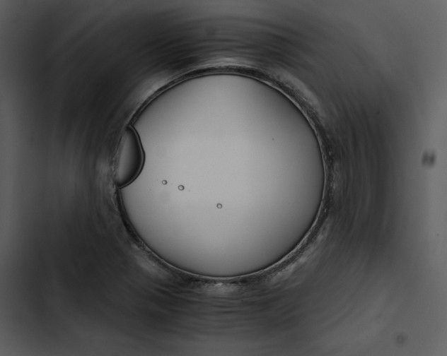 X0000102821321200809081122