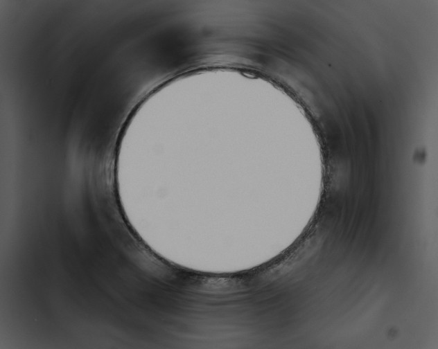 X0000102821322200809081122