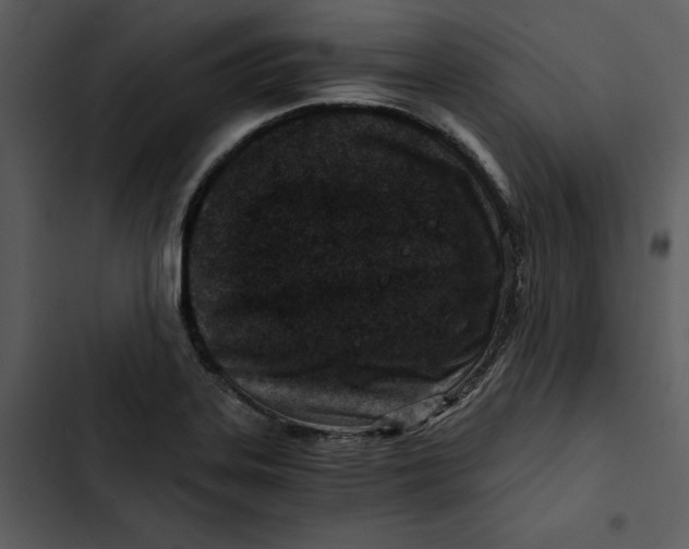 X0000102821323200809081122