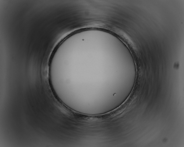 X0000102821324200809081122