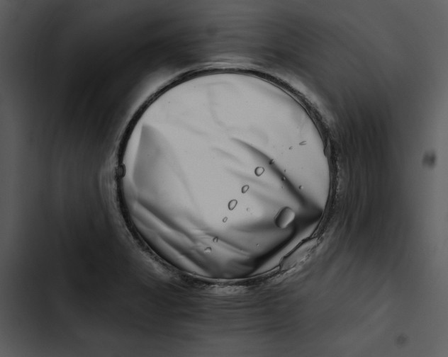 X0000102821325200809081122