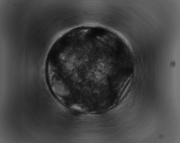 X0000102821327200809081122