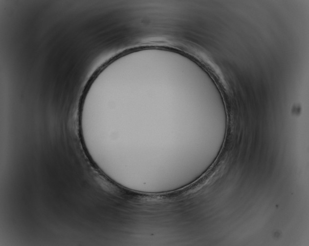 X0000102821328200809081122