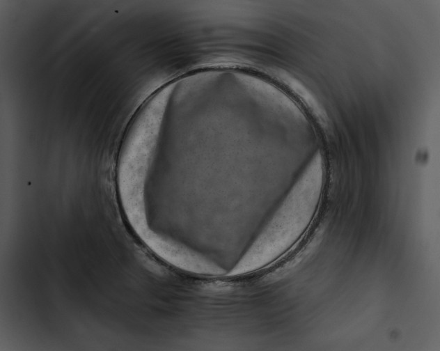 X0000102821329200809081122