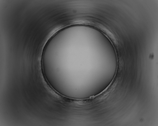 X0000102821330200809081122