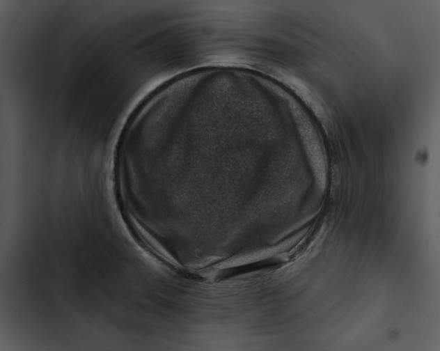 X0000102821331200809081122