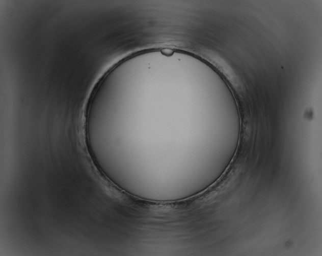 X0000102821332200809081122