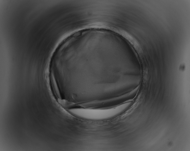 X0000102821334200809081122