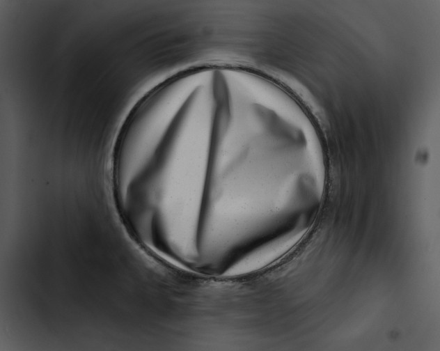 X0000102821335200809081122