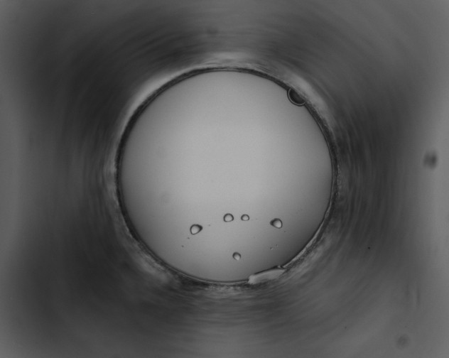 X0000102821336200809081122