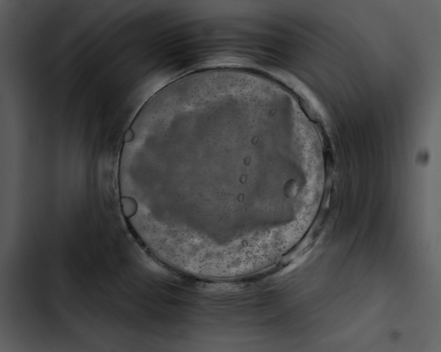 X0000102821337200809081122