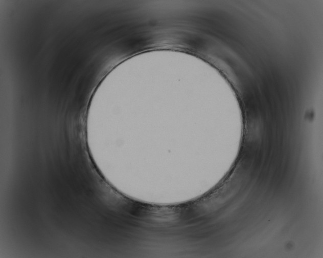 X0000102821338200809081122