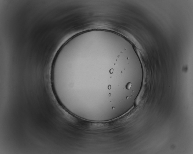 X0000102821339200809081122