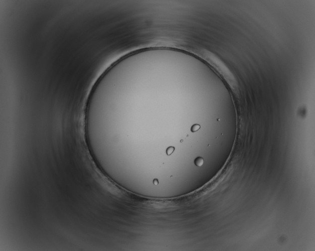 X0000102821340200809081122