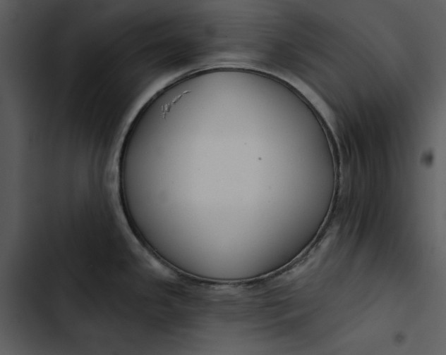 X0000102821341200809081122