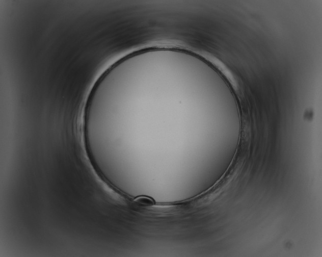 X0000102821343200809081122