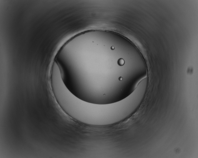 X0000102821344200809081122