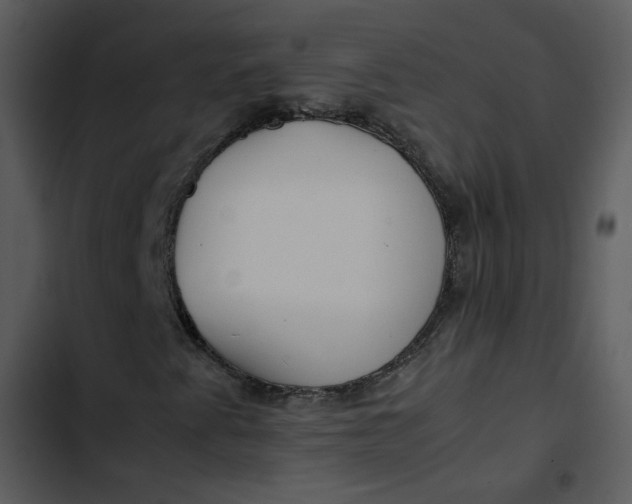 X0000102821345200809081122