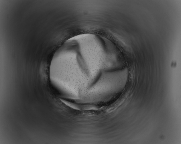 X0000102821346200809081122