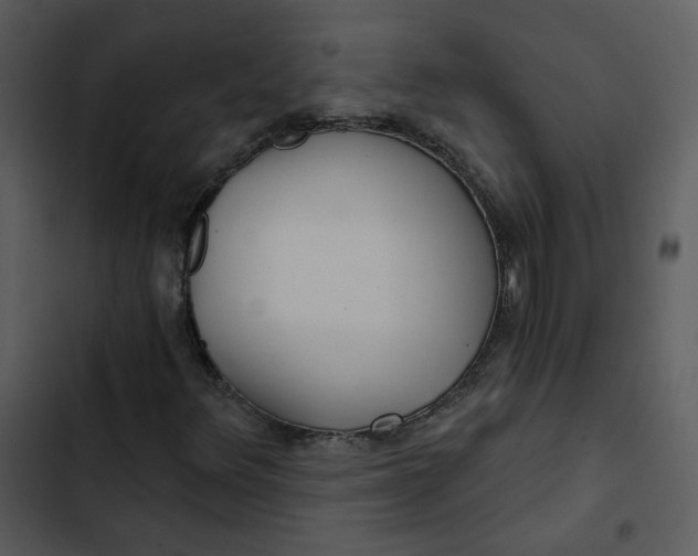 X0000102821348200809081122