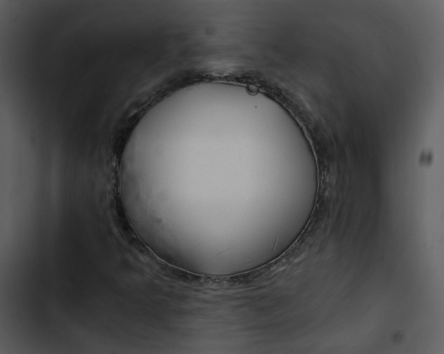 X0000102821349200809081122