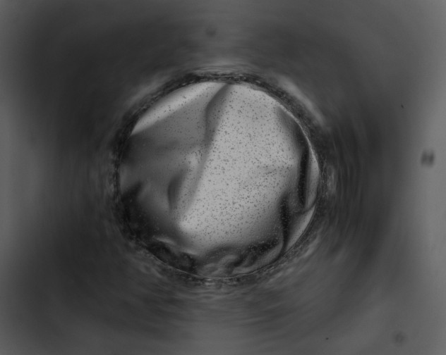 X0000102821350200809081122