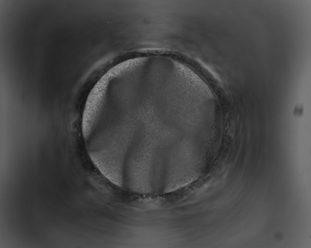 X0000102821351200809081122