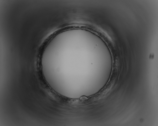 X0000102821352200809081122